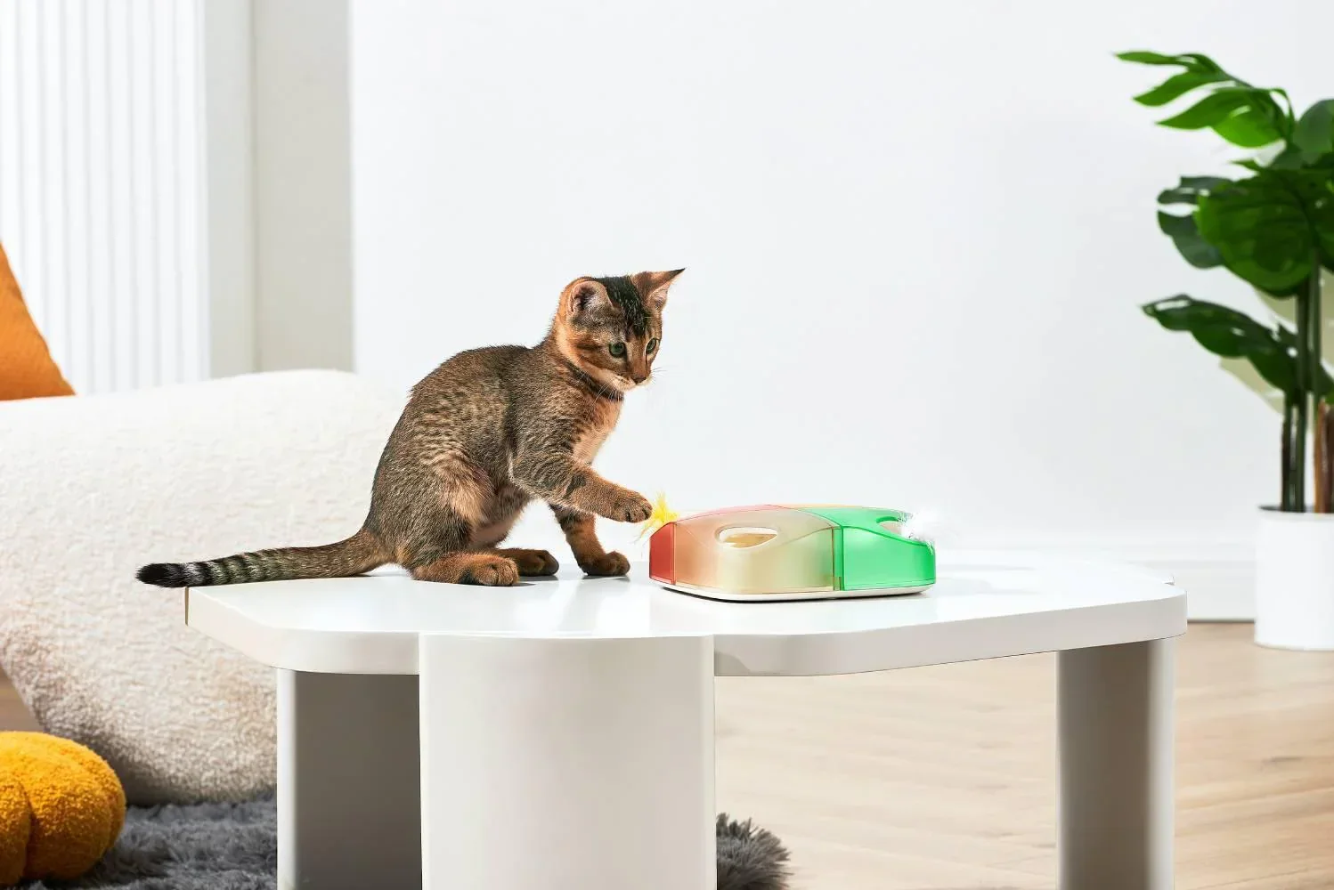 Michu Interactive Feathered Rechargeable Automatic Cat Toy Box - Image 7