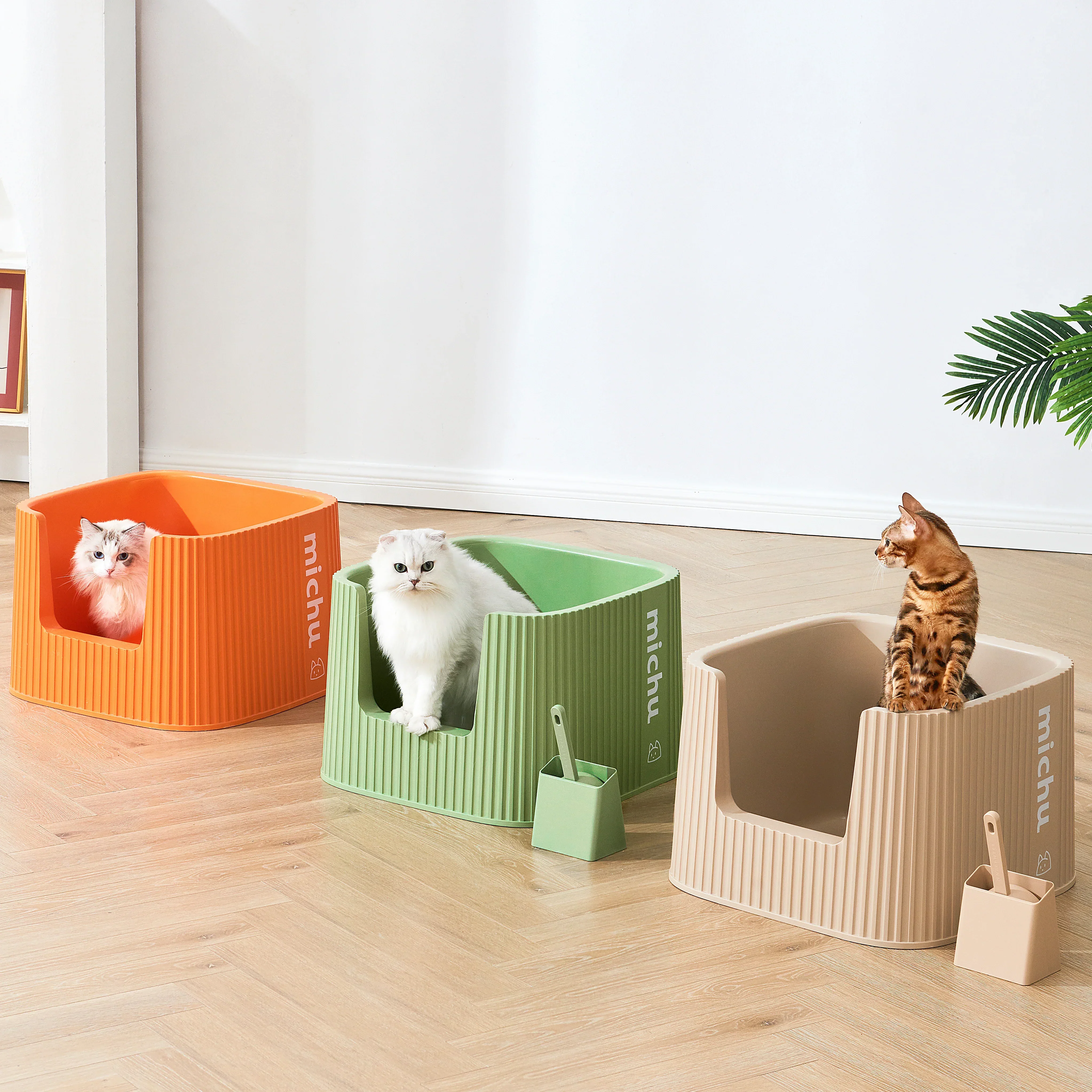 New Kitten Welcome Home Bundle - Image 3