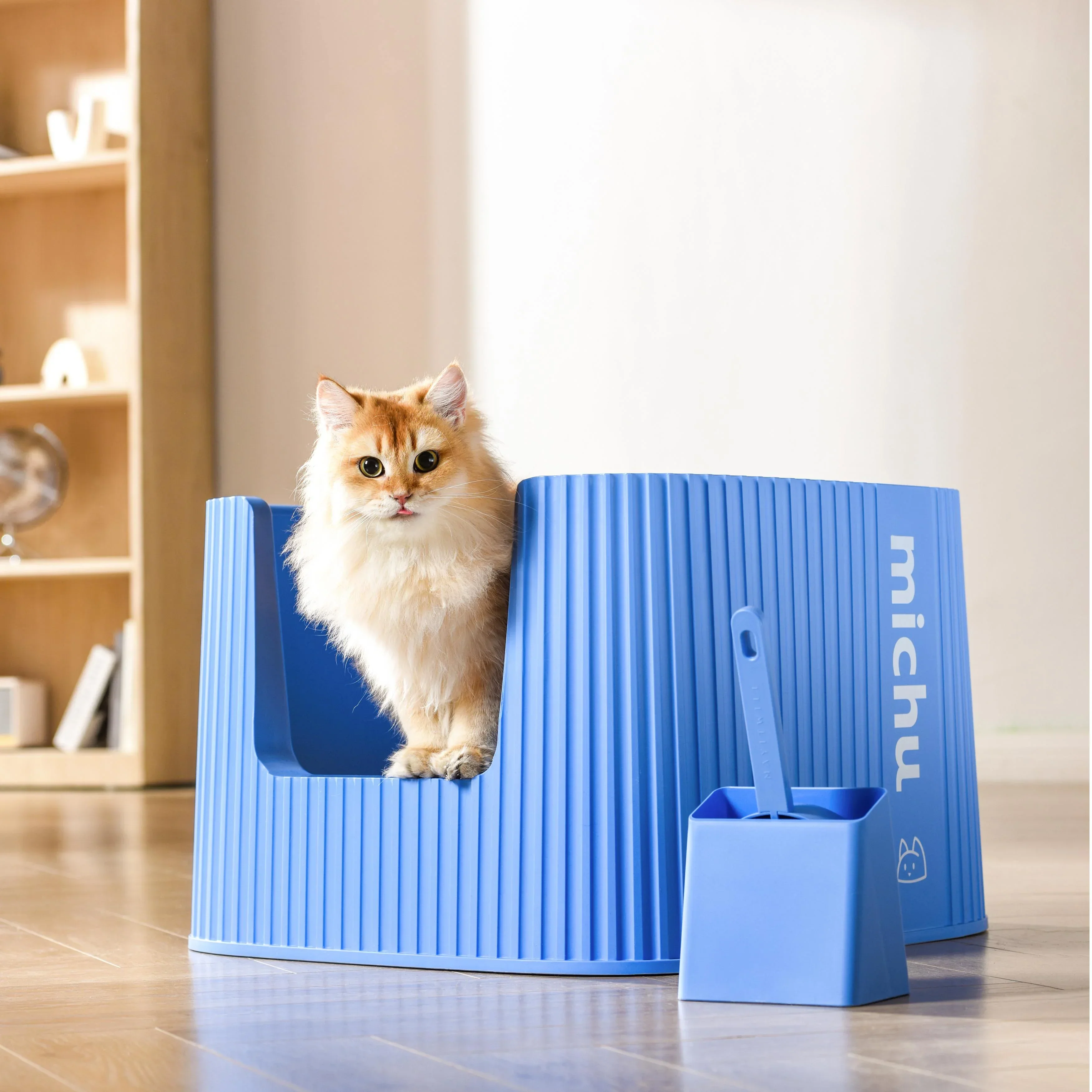 New Kitten Welcome Home Bundle - Image 4