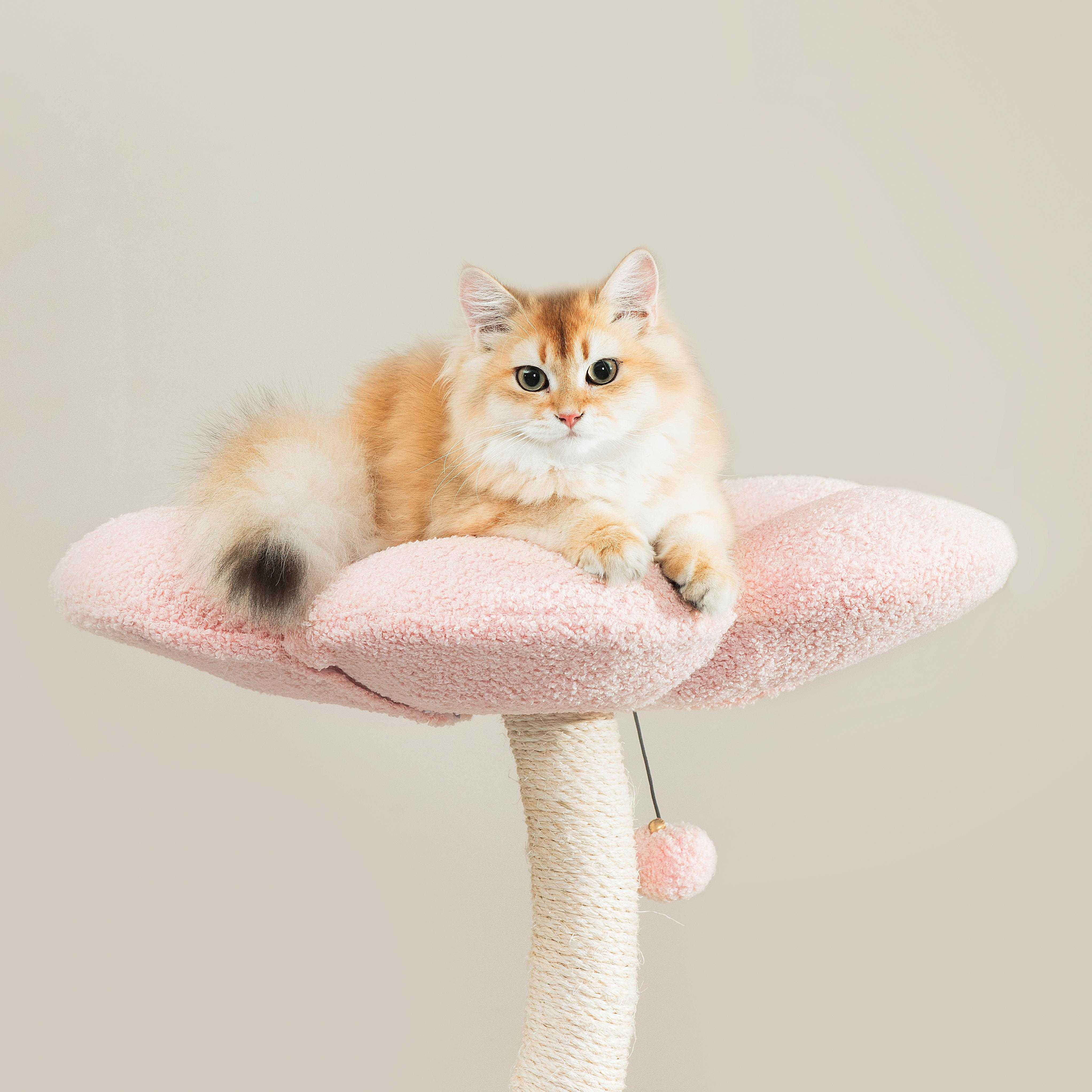 MICHU Fairy Cat Tower Deluxe 4-Tier Designer Flower Cat Tree - Image 11