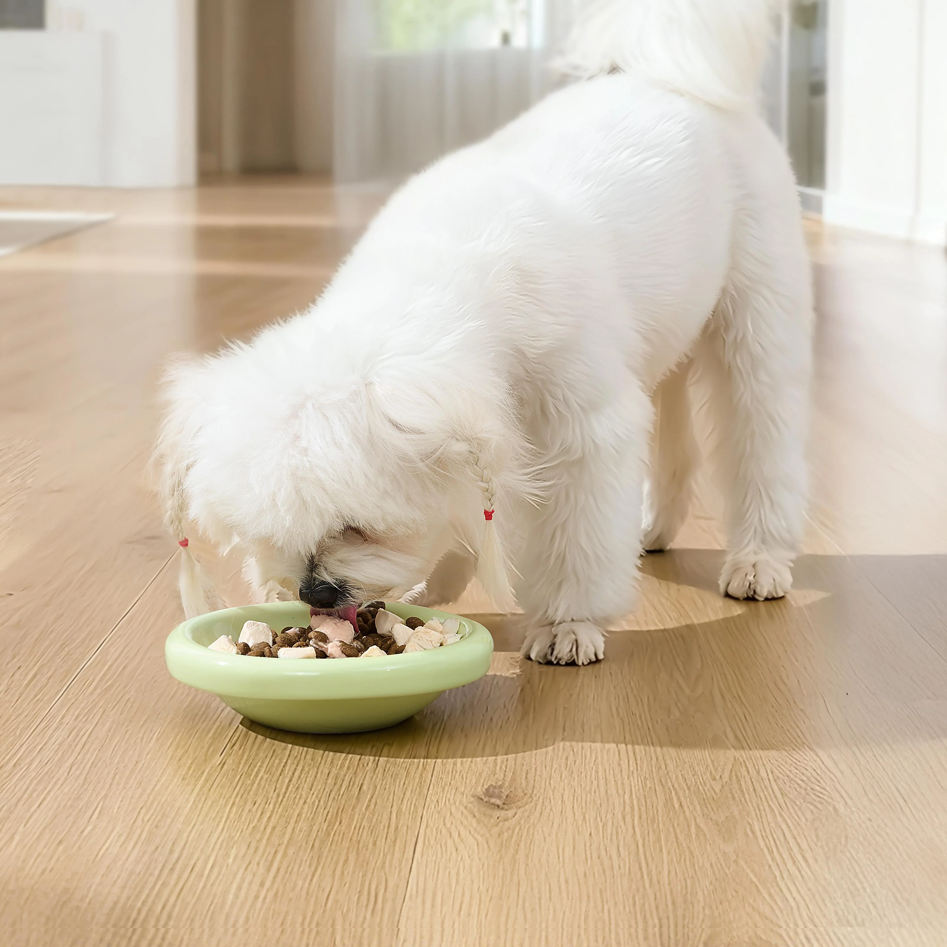 Michu Marshmallow Ceramic Cat Bowl – Anti-Whisker Fatigue Wide Shallow Design| Premium Cat Food Bowl - Image 12