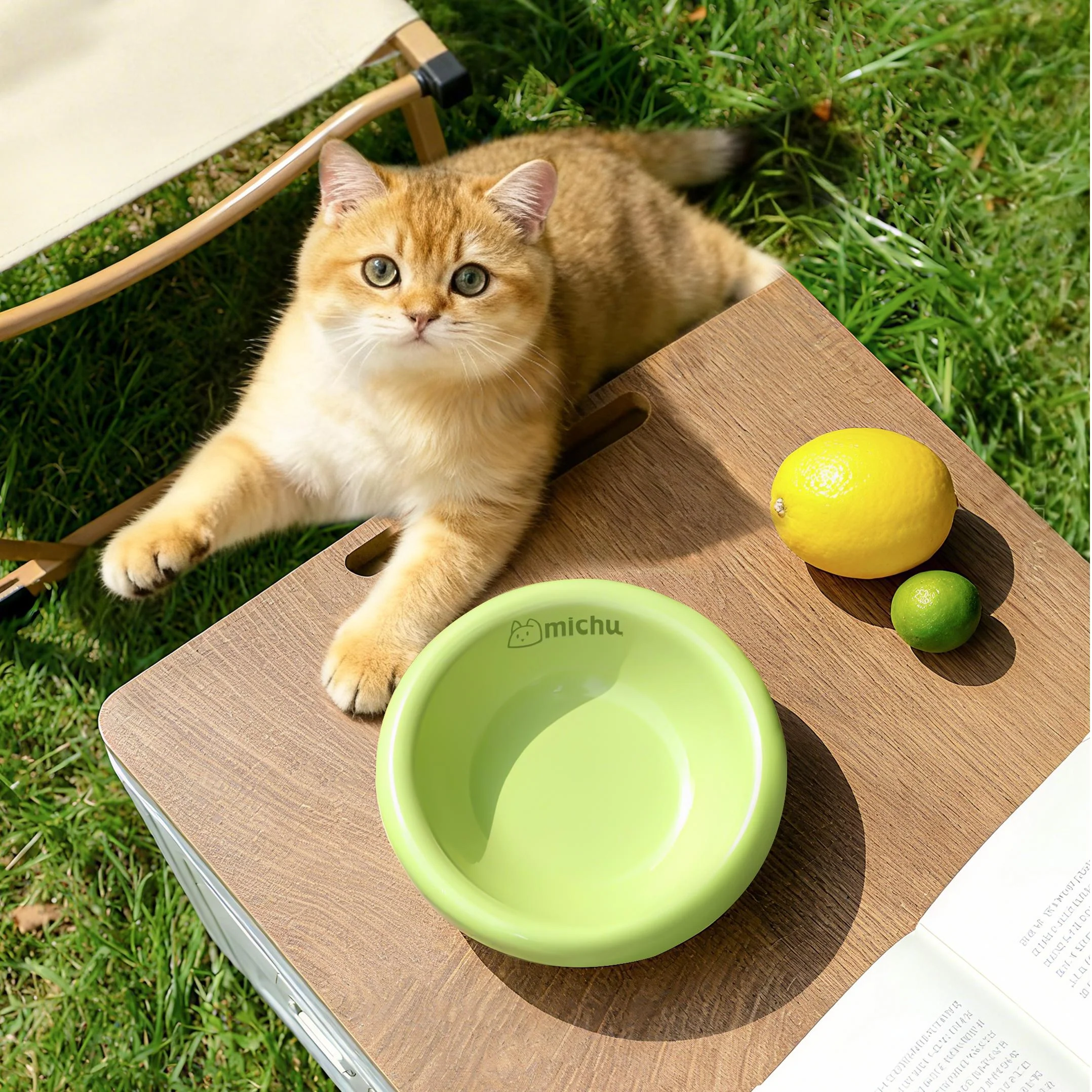 Michu Marshmallow Ceramic Cat Bowl – Anti-Whisker Fatigue Wide Shallow Design| Premium Cat Food Bowl - Image 13