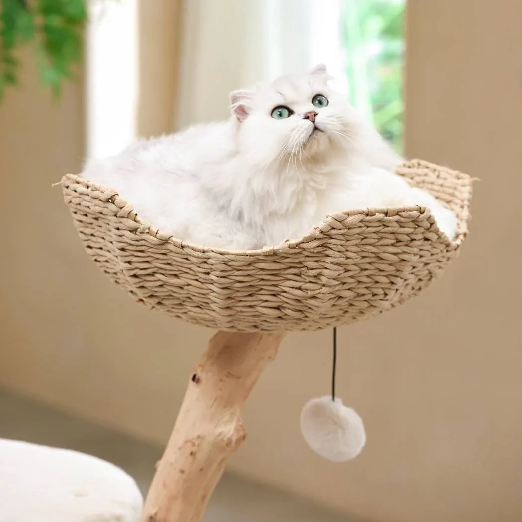 Michu Premium Real Wooden Cat Tree-Medium- Spacious Australian Feline Haven - Image 2