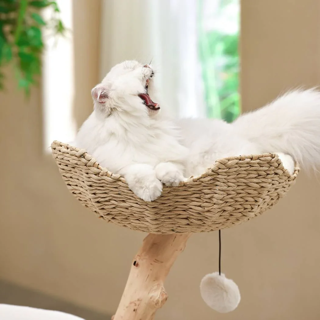 Michu Premium Real Wooden Cat Tree-Medium- Spacious Australian Feline Haven - Image 3