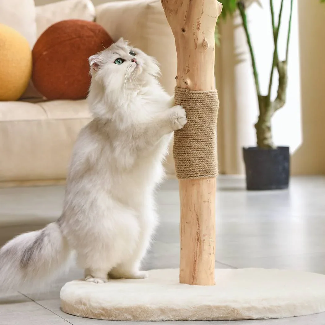 Michu Premium Real Wooden Cat Tree-Medium- Spacious Australian Feline Haven - Image 6