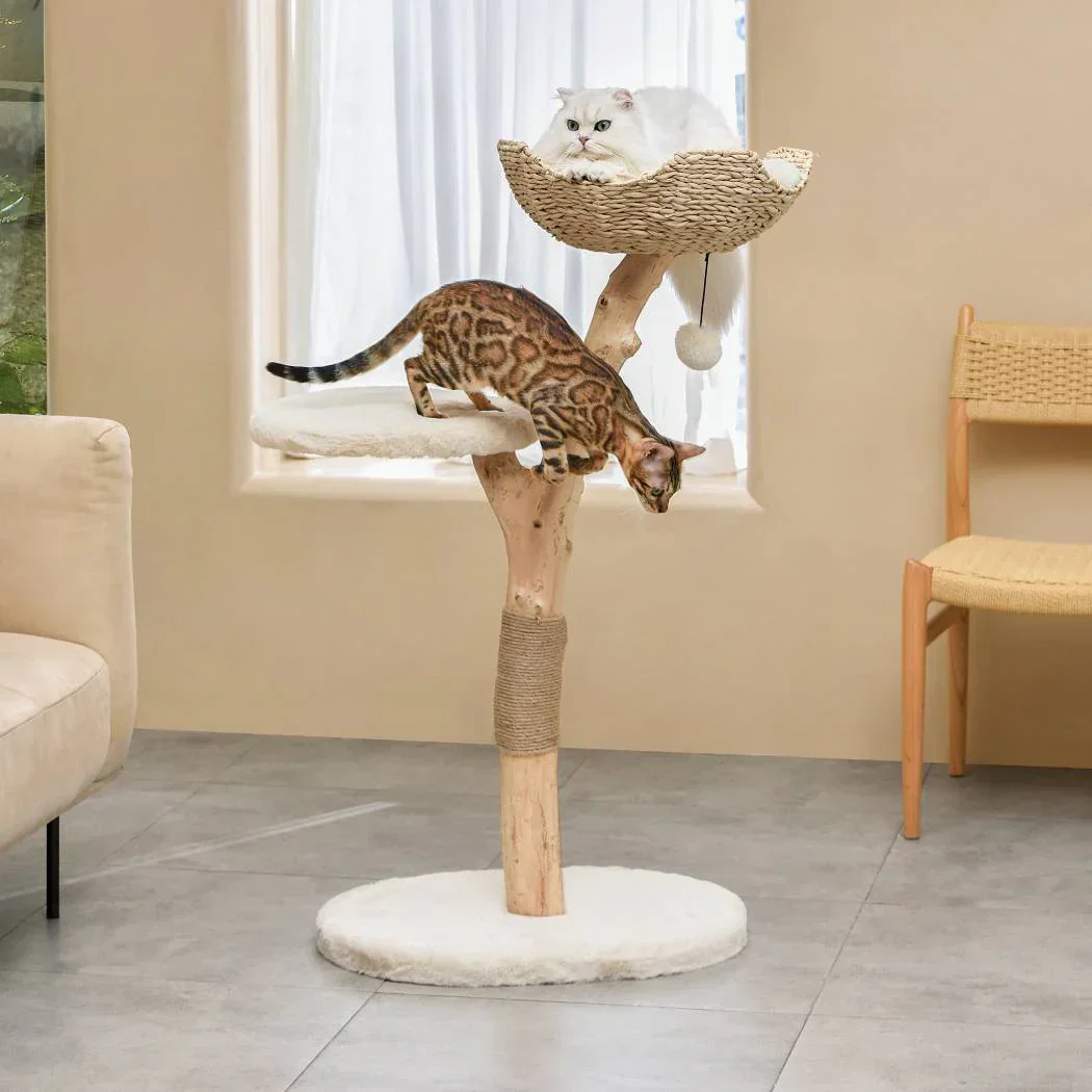 Michu Premium Real Wooden Cat Tree-Medium- Spacious Australian Feline Haven - Image 7