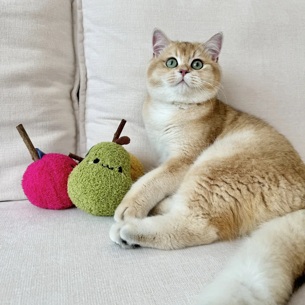 Michu Silver Vine Plush Toys - Onion Puff, Pearly Pear & Avocutie | Adorable Cat Chew & Play - Image 7