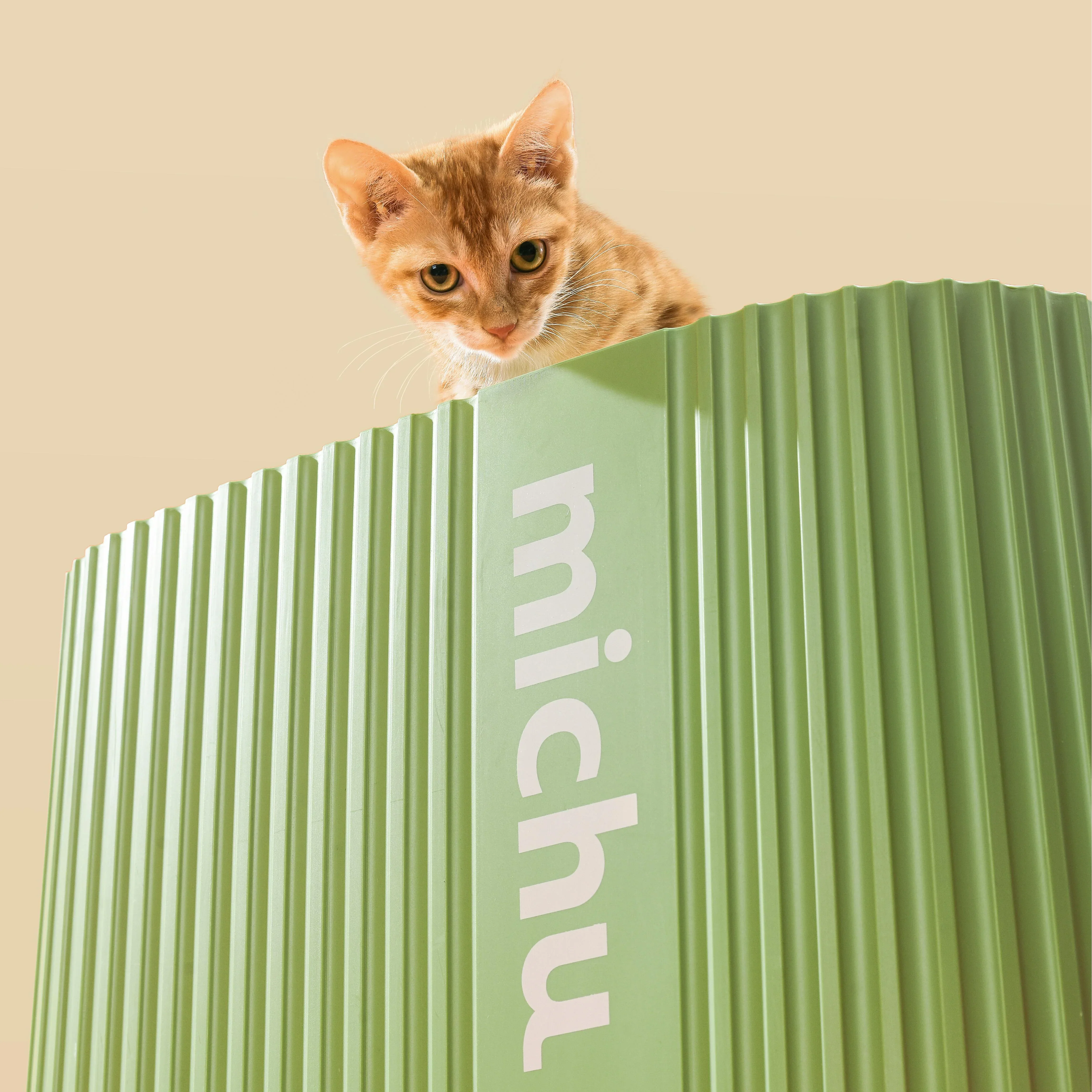 Michu Tofu Cat Litter for Kittens and Small Animals, Natural Crushed Formula, Plant-Based & Safe if Ingested 2.5kg/6L - Image 11