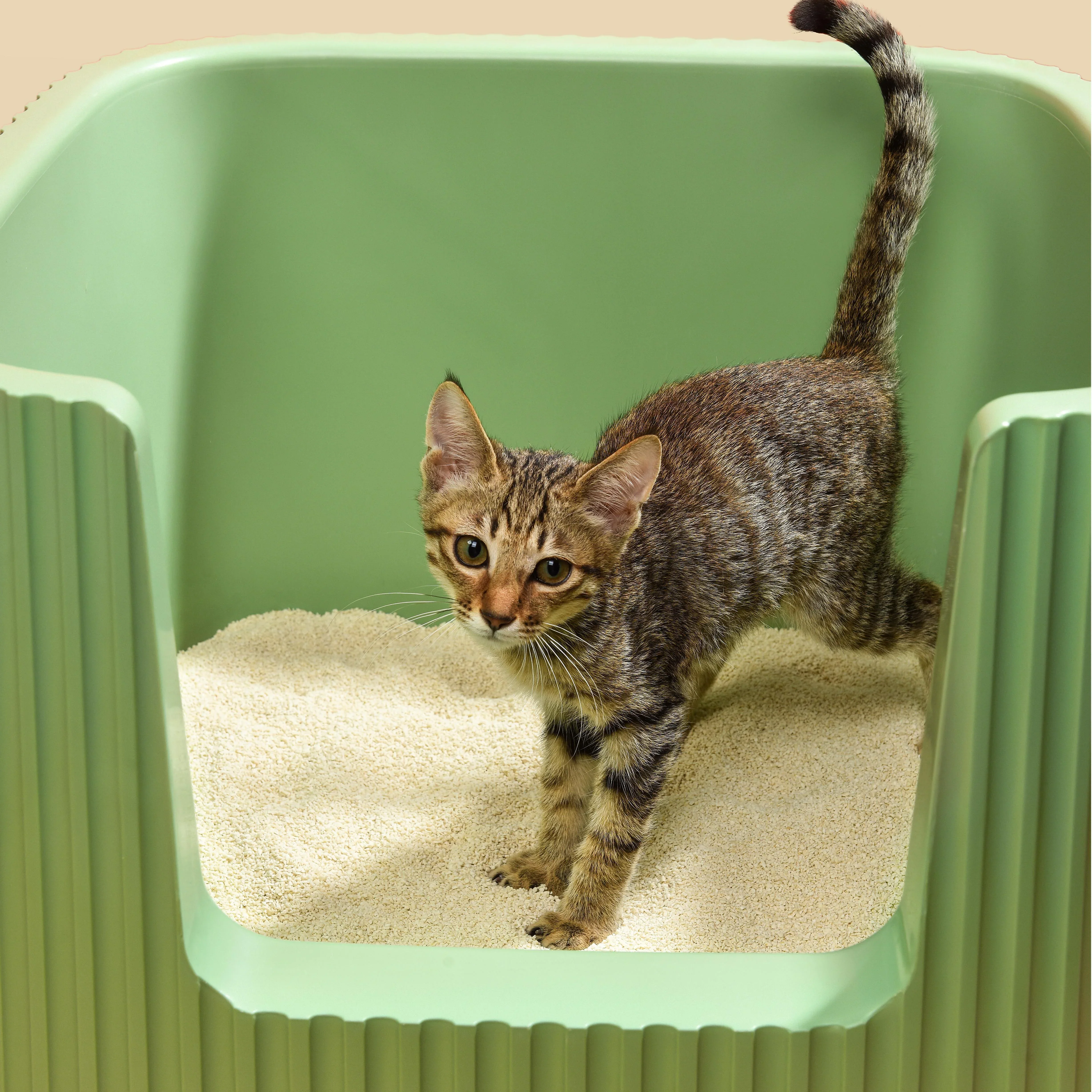 Michu Tofu Cat Litter for Kittens and Small Animals, Natural Crushed Formula, Plant-Based & Safe if Ingested 2.5kg/6L - Image 12