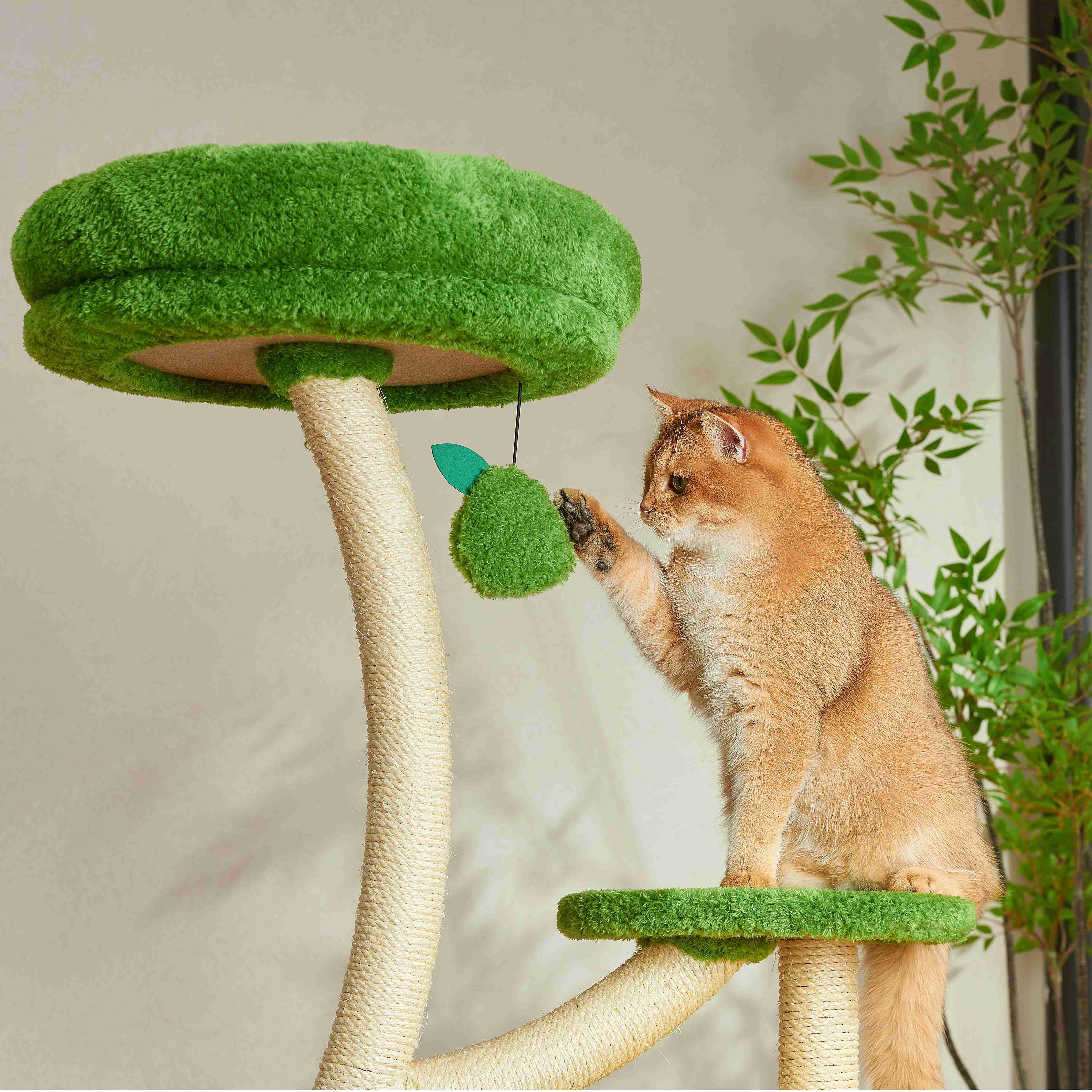 Michu Verde Solid Wooded Base Cat Tree - Image 11